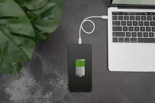 Digitus Lightning to USB-C data/charging cable, MFI-certified