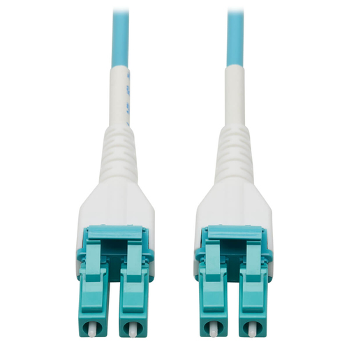 Tripp Lite N821-100M...