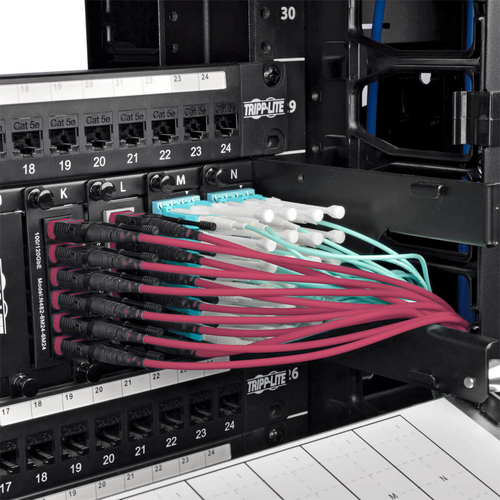 Tripp Lite N845-15M-12-MG 100G MTP/MPO Multimode OM4 Plenum-Rated Fiber Optic Cable (F/F), 12 Fiber, 40/100GBASE-SR4, Push/Pull Tabs, Magenta, 15 m