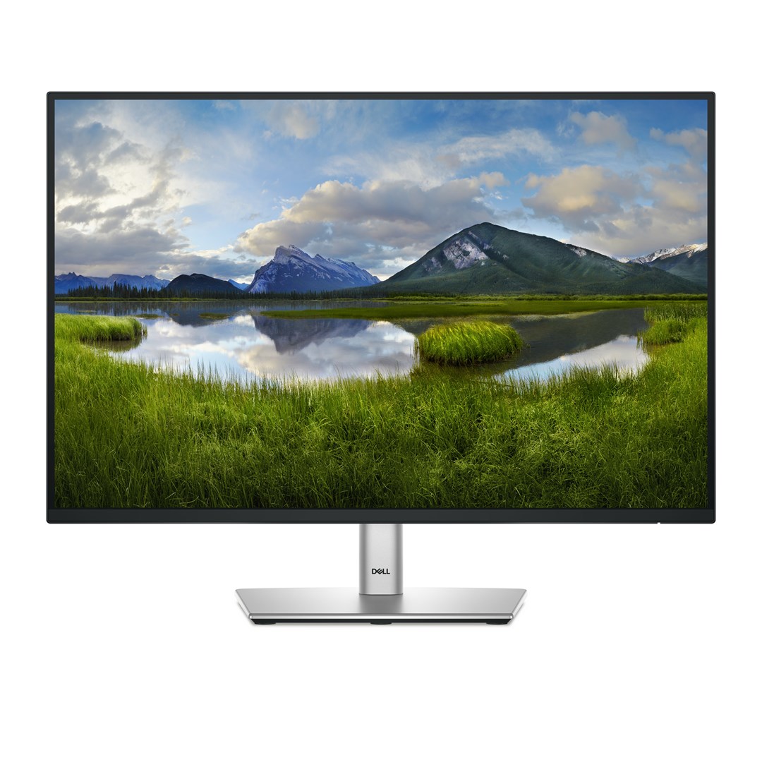 DELL P Series P2425 ...