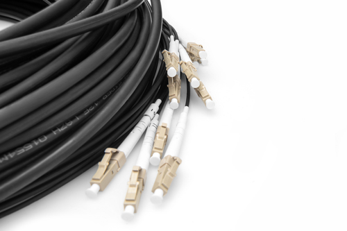 DK-2433CU030BK-BBB - Cables & Adaptors by Digitus