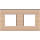 DUAL GANG FACEPLATE ...