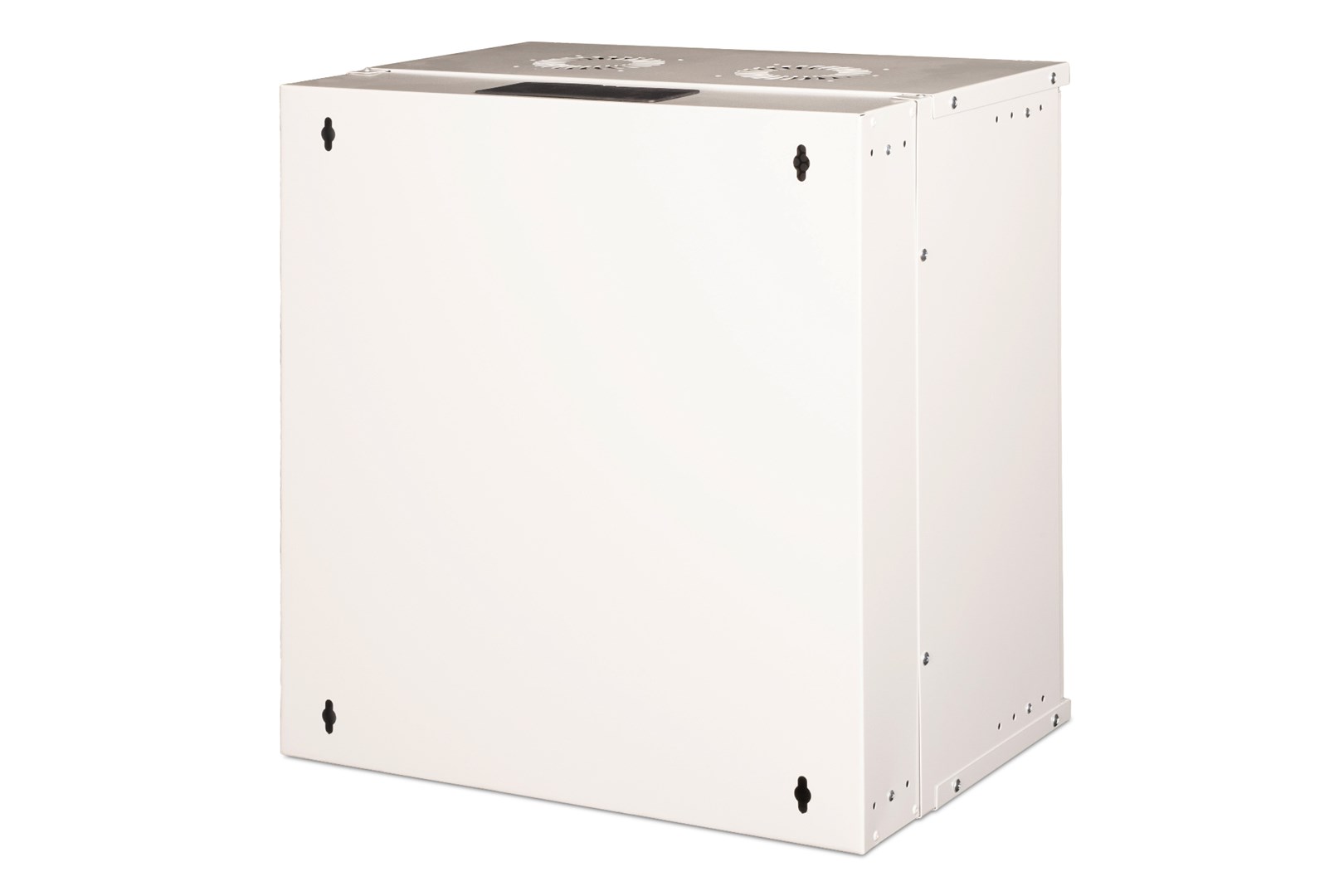 Digitus Wall-mounted enclosure SOHO Pro - 483 mm (19") - 540x400 mm (WxD)