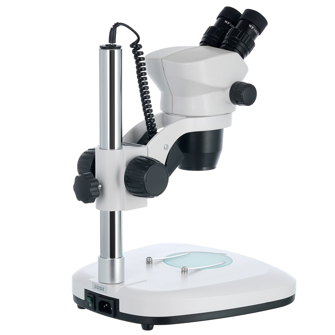 Zebra Z-Select 2000T White Roll
