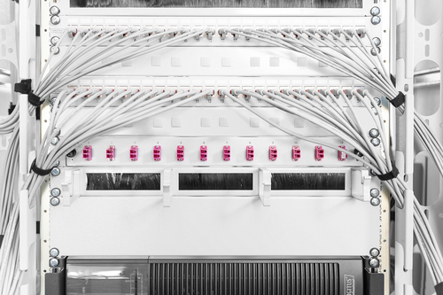 Digitus Blank Panel for 483 mm (19") Cabinets