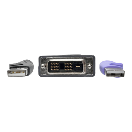 Tripp Lite B055-001-UDV NetDirector DVI USB Server Interface Unit with Virtual Media and CAC Support (B064-IPG Series), USB and DVI