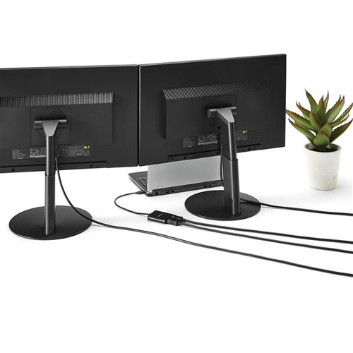 MSTCDP122DP - Cables & Adaptors by StarTech.com