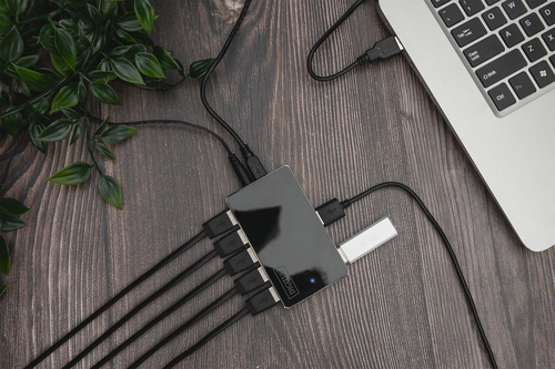 Digitus USB 2.0 Hub, 10-Port