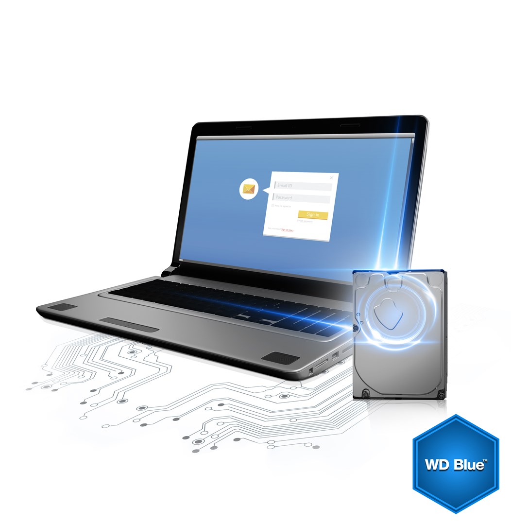 Western Digital Blue...
