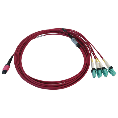 Tripp Lite N845X-05M-8L-MG 40/100G Multimode 50/125 OM4 Fiber Optic Cable (12F MTP/MPO-PC to 4x Duplex LC/PC F/M), LSZH, Magenta, 5 m (16.4 ft.)