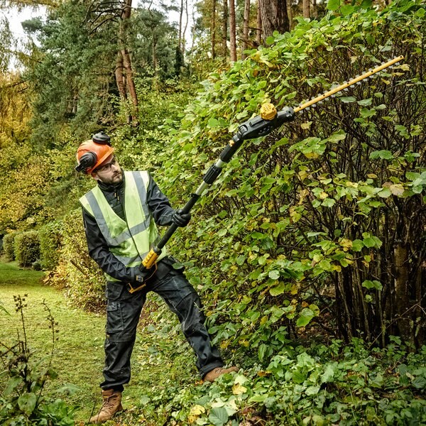 18V XR Pole Shears 55  Boom up to 3.35m  Cardboard