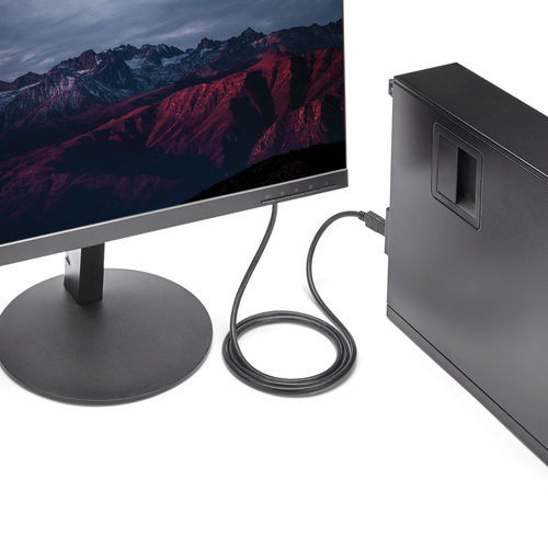 DP2DVIMM6 - Cables & Adaptors by StarTech.com