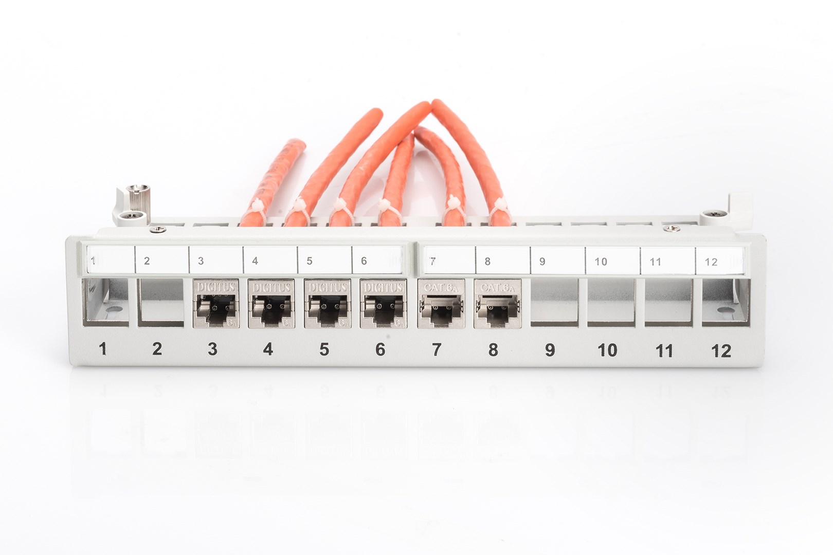 Digitus Desktop Modular Patch Panel, shielded, 12-port