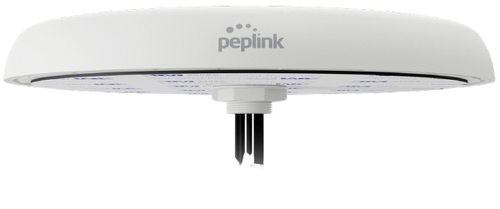 Peplink Mobility 82G network antenna MIMO directional antenna QMA 8.7 dBi