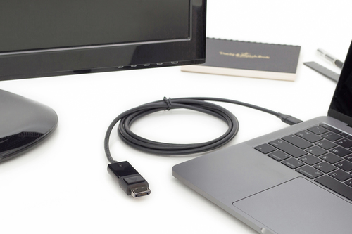 Digitus USB Type-C Gen 2 adapter / converter cable, Type-C to DP