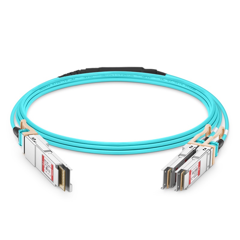 400G QSFP-DD TO 2X20...