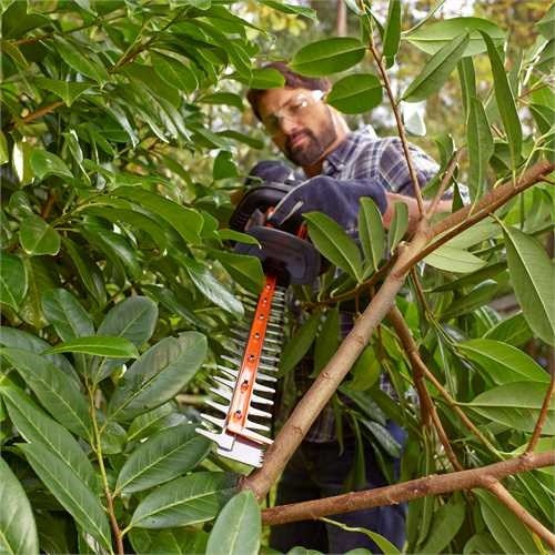 Hedge trimmer 500 watts  55 centimeters  blade spacing 22 mm