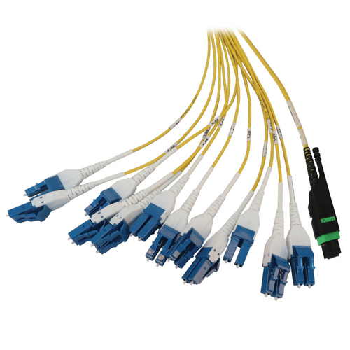 Tripp Lite Preloaded Fiber Panel, 1U - 2x (24F MTP/MPO-APC to 12x LC Duplex F/M) 24F Trunk Cables, OS2 Singlemode, 20 m (65.6 ft.)