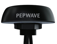 Peplink Mobility 40G...