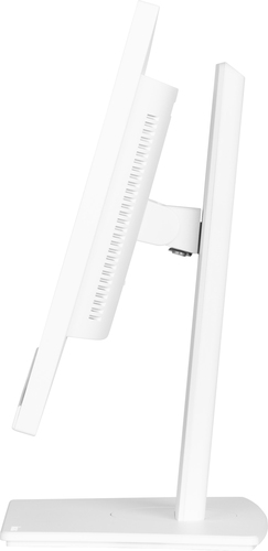 iiyama ProLite 24" IPS technology panel with USB-C dock and RJ45 (LAN)