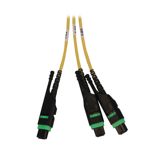 Tripp Lite Preloaded Fiber Panel, 1U - 2x (3x8F MTP/MPO-APC F/F) 24F Trunk Cables, OS2 Singlemode, 20 m (65.6 ft.)