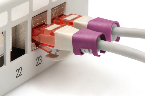 Digitus Color clips for Patch cable - Magenta
