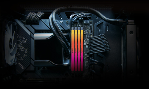 Kingston Technology FURY 32GB 6400MT/s DDR5 CL32 DIMM Renegade RGB XMP