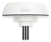 Peplink Mobility 20G network antenna MIMO directional antenna SMA 6.1 dBi