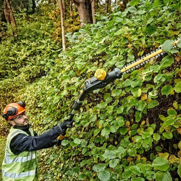 18V XR Pole Shears 55  Boom up to 3.35m  Cardboard