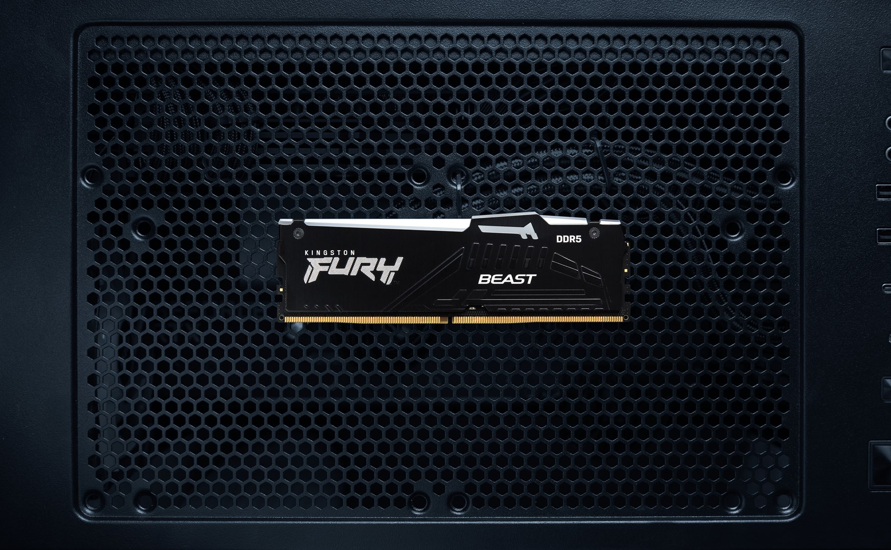 Kingston Technology FURY Beast 64GB 5600MT/s DDR5 CL36 DIMM (Kit of 2) RGB EXPO