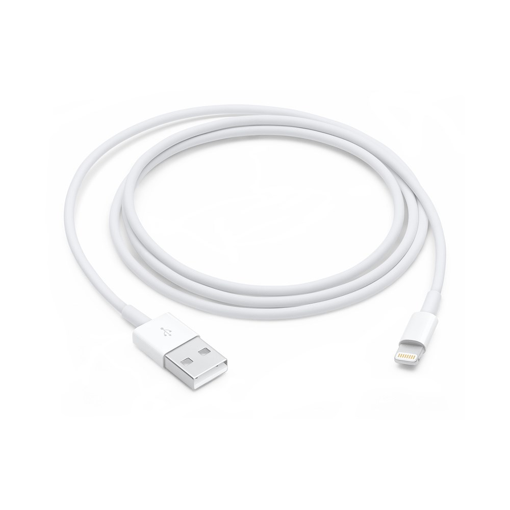 Apple Lightning to U...