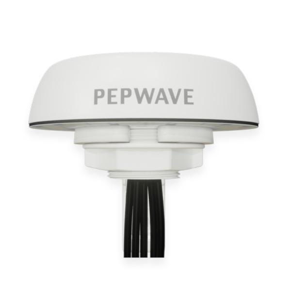 Peplink Puma 401 net...