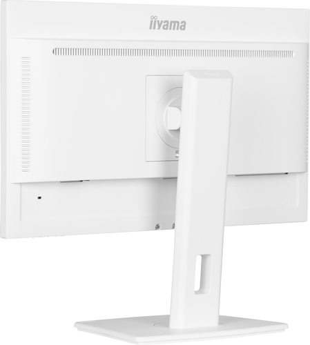 iiyama ProLite 24" IPS technology panel with USB-C dock and RJ45 (LAN)