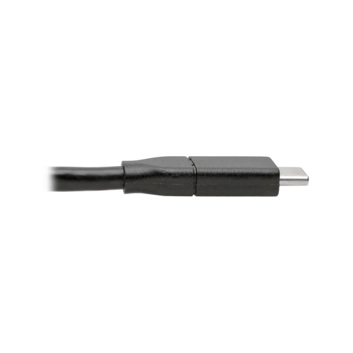Tripp Lite U040-C13-C-5A USB-C Cable (M/M), USB 2.0, 5A (100W) Rated, USB-IF Certified, 13 ft. (3.96 m)