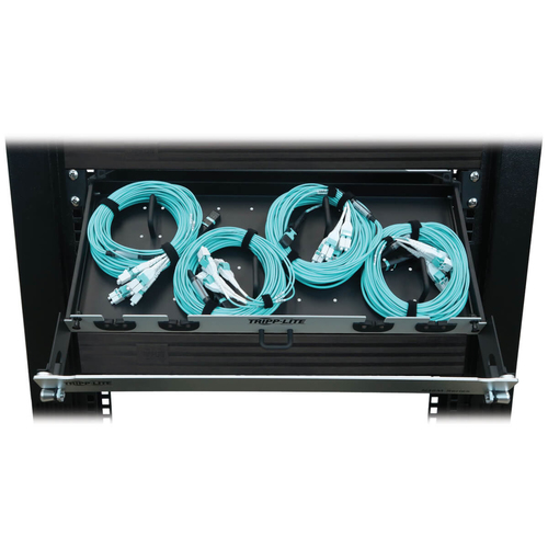 Tripp Lite Preloaded Fiber Panel, 1U - 4x (12F MTP/MPO-PC to 4x LC Duplex F/M) 8F Trunk Cables, OM4 Multimode, 10 m (32.8 ft.)