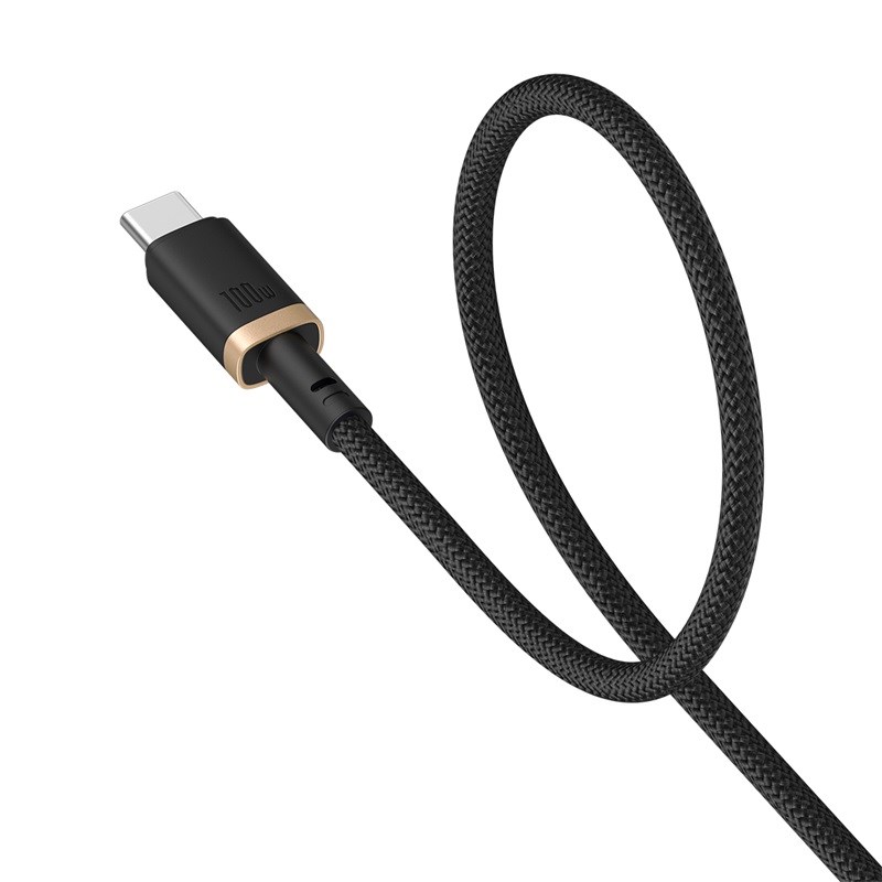 Baseus Dura Type C to Type C 100 W fast charging cable 2 m Black Gold
