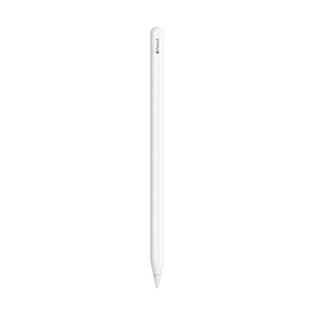 Apple Pencil stylus ...