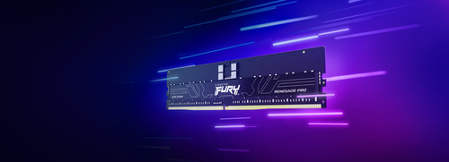 Kingston Technology FURY 16GB 5600MT/s DDR5 ECC Reg CL28 DIMM Renegade Pro EXPO