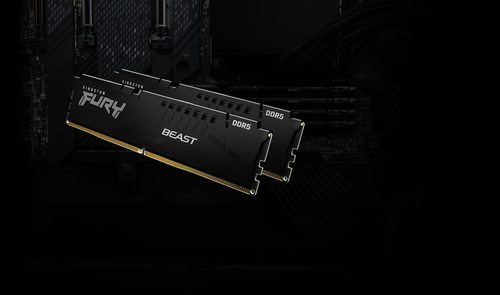Kingston Technology FURY Beast 8GB 5600MT/s DDR5 CL36 DIMM Black EXPO