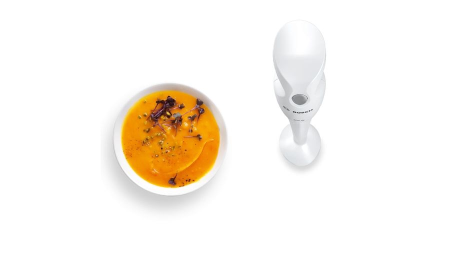 Bosch MSM6B150 blender Immersion blender 300 W White