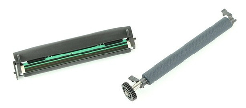 Zebra P1080383-229 p...