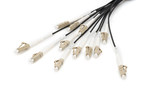Digitus Pre-assembled Fiberglass Universal Breakout Cable, Multi Mode OM4, 12 Fibers, LC/UPC - LC/UPC