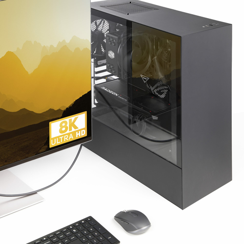 StarTech.com 1m Disp...