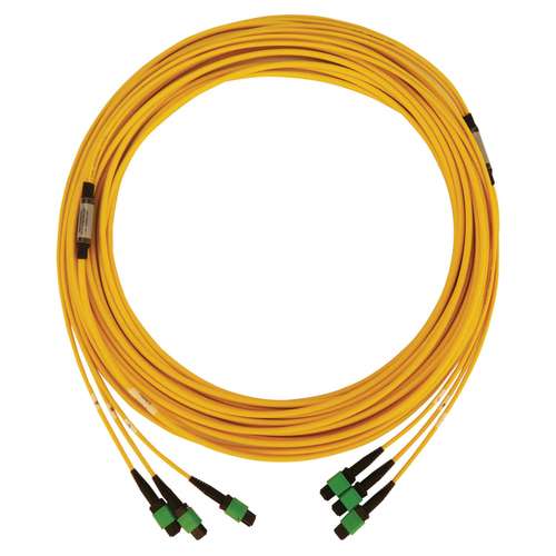Tripp Lite N392B-15M-3X8AP 40/100G Singlemode 9/125 OS2 Fiber Optic Cable (3x8F MTP/MPO-APC F/F), LSZH, Yellow, 15 m (49 ft.)