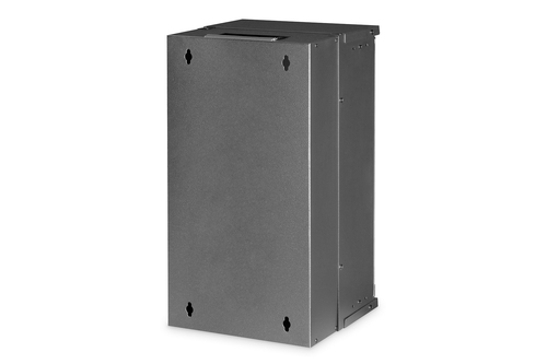 Digitus SOHO Pro wall-mounted enclosure - 254 mm (10") - 315x300 mm (WxD)