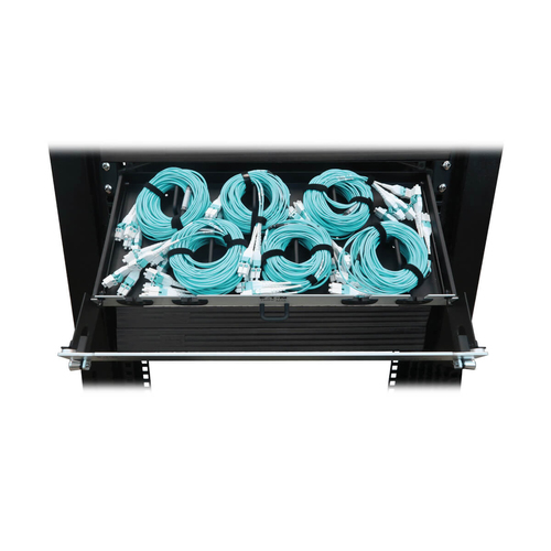 Tripp Lite Preloaded Fiber Panel, 1U - 6x (4x LC/LC Duplex M/M) 8F Trunk Cables, OM4 Multimode, 10 m (32.8 ft.)