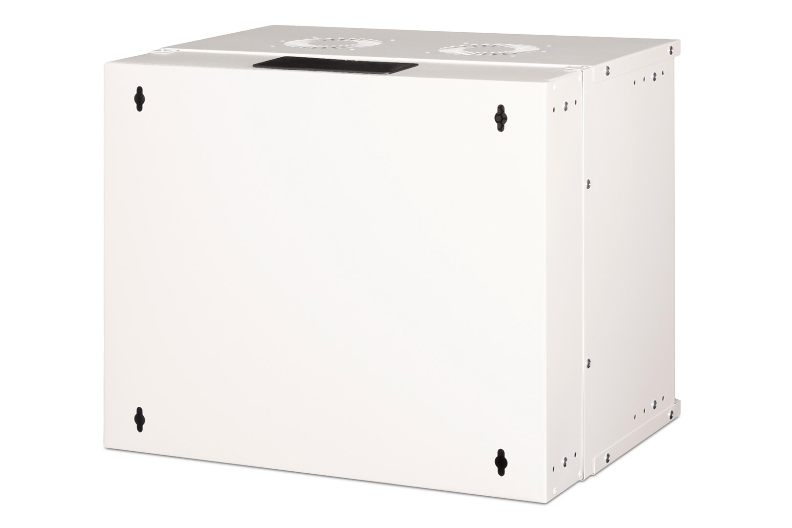 Digitus Wall-mounted enclosure SOHO Pro - 483 mm (19") - 540x400 mm (WxD)