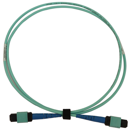 Tripp Lite N846B-01M-24-P 40/100/400G Multimode 50/125 OM3 Fiber Optic Cable (24F MTP/MPO-PC F/F), LSZH, Aqua, 1 m (3.3 ft.)