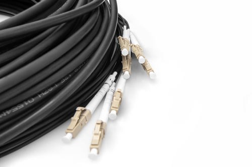 DK-24338U030BK-BBB - Cables & Adaptors by Digitus