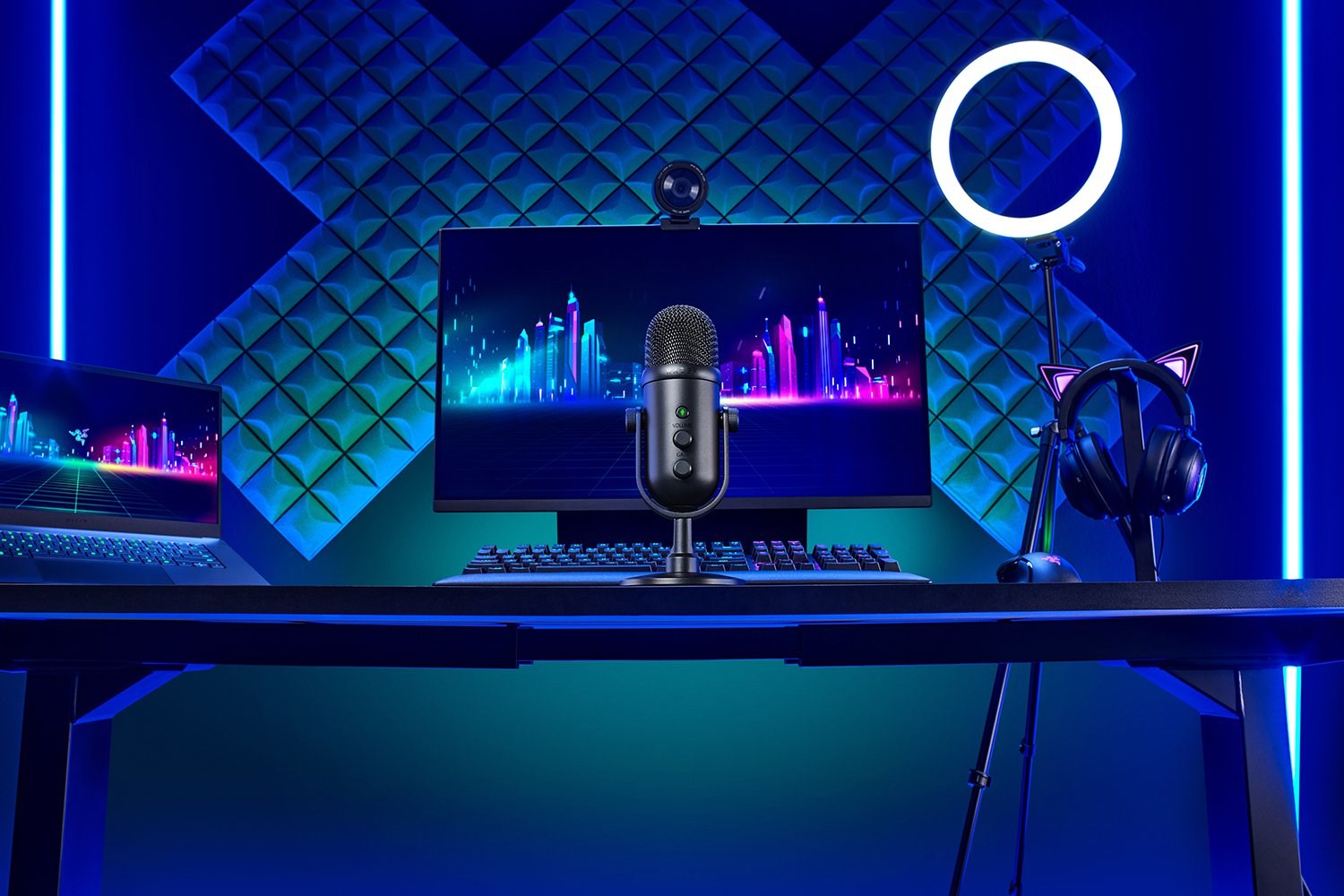 Razer SEIREN V2 PRO Black Studio microphone